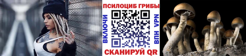Псилоцибиновые грибы Magic Shrooms  Болохово 